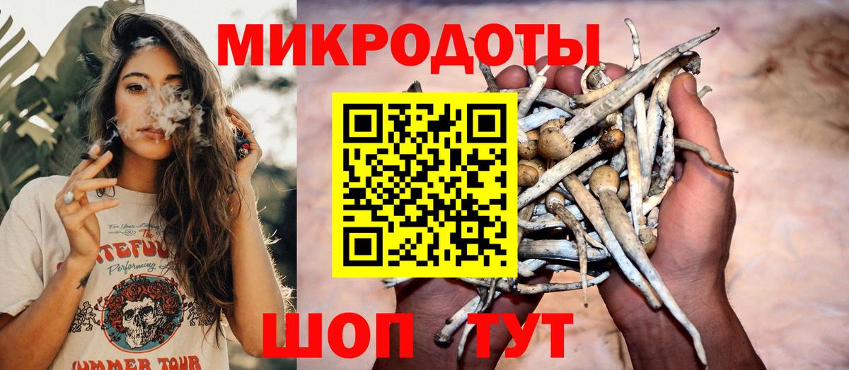Псилоцибиновые грибы MAGIC MUSHROOMS  Галлюциногенные грибы прущие грибы  Вход с VPN  Советский 